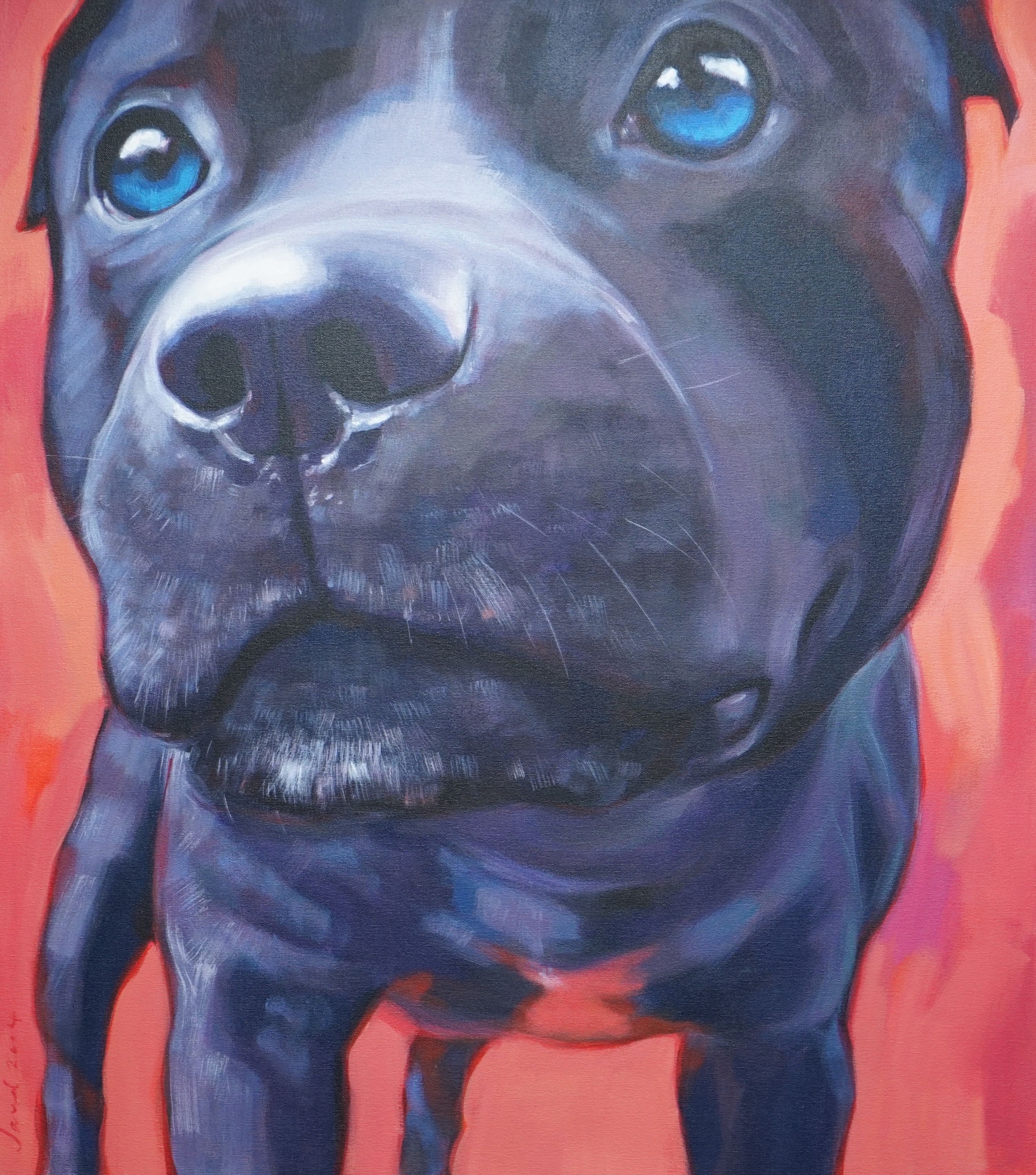 Javal 2004, oil on canvas, Bull terrier, signed and dated, 80 x 70cm, unframed